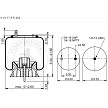ContiTech AS9936 Air Spring - 90557156 90557300 