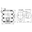 ContiTech AS7995 Air Spring - AS-0048-1F W01-358-7995 3B12-315 